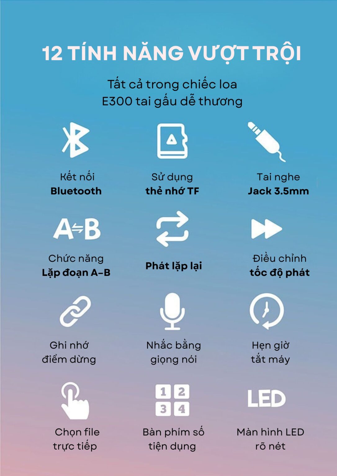 12 tính năng vượt trội của loa E300